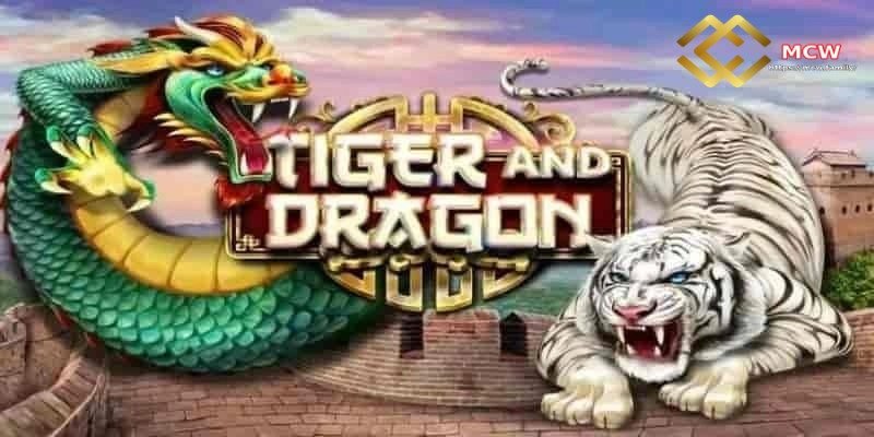 Dragon Tiger with High Winning Rates