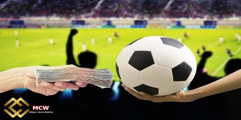 Football betting experience - Master In-Depth Knowledge of Football